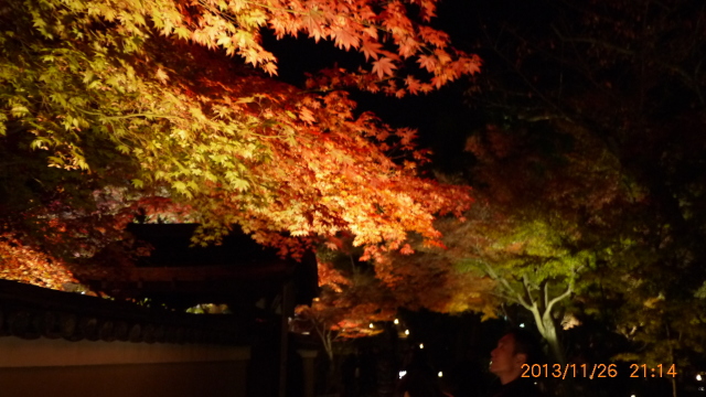 c0133096_19422169.jpg