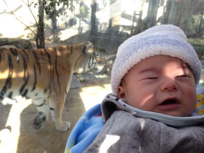 神戸王子動物園_a0188798_14421745.jpg