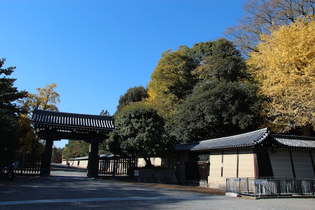 c0306400_14513557.jpg