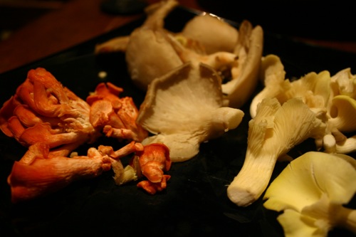 e0149801_16551319.jpg
