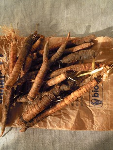 e0206902_236416.jpg