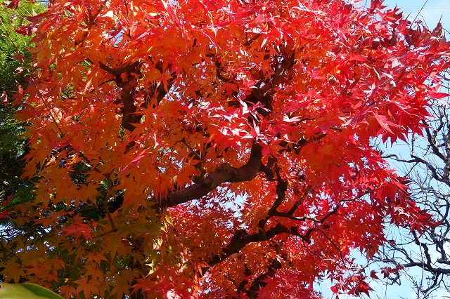 b0147203_21424329.jpg