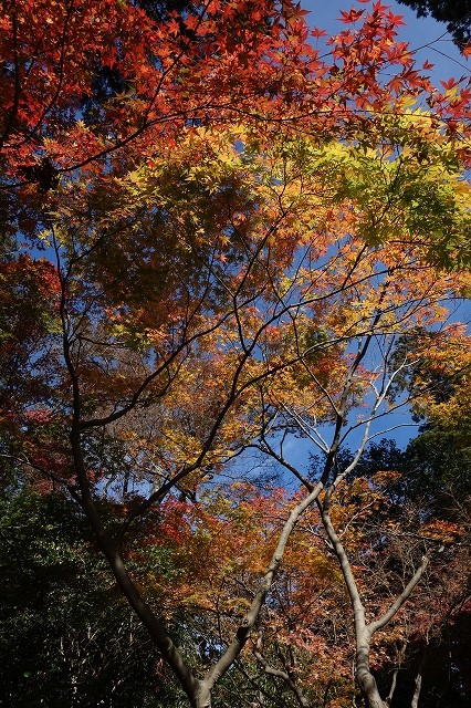 b0147203_2150880.jpg