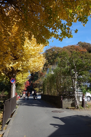 b0147203_2151958.jpg