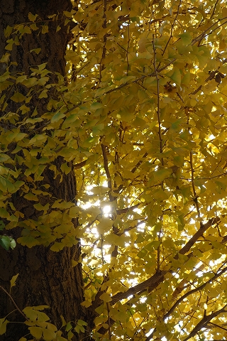 b0147203_2153753.jpg