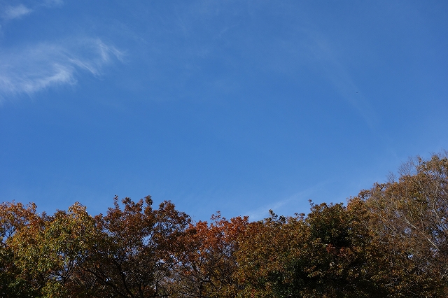 b0147203_2154541.jpg