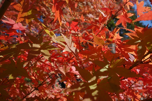b0147203_2294680.jpg