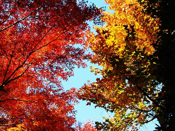 c0187503_2004170.jpg