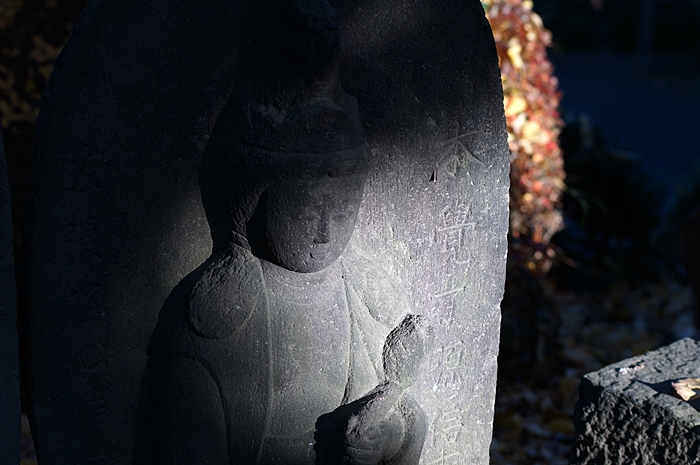 c0187503_207141.jpg
