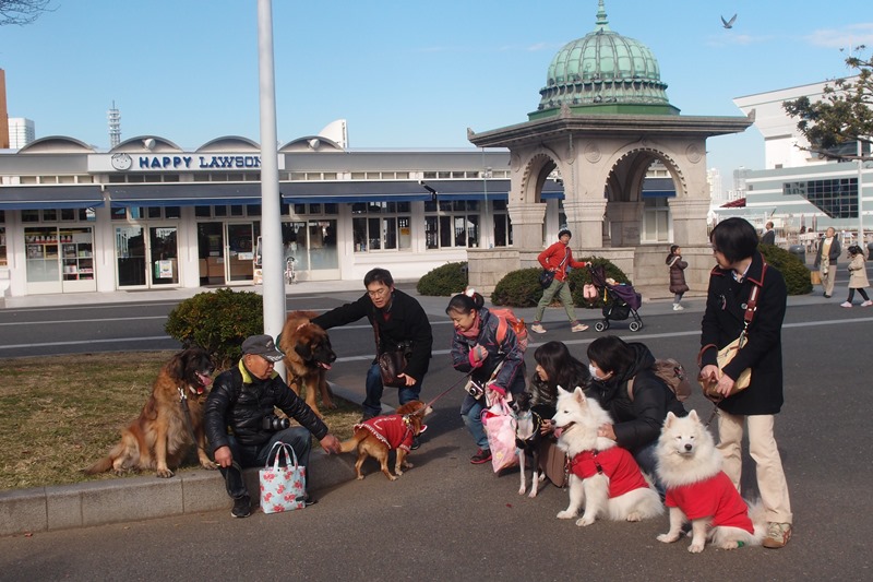 横浜お散歩会in赤レンガ倉庫　１１月３０日　[土]_e0018604_13305507.jpg