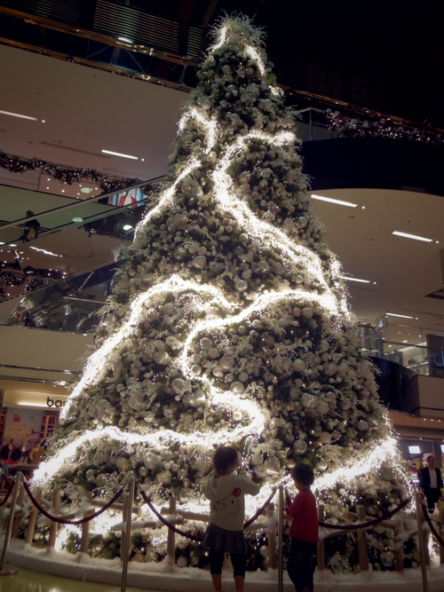 初めてのスケートレッスン@CityPlazaと太古のクリスマスデコレーション_e0123104_1104725.jpg