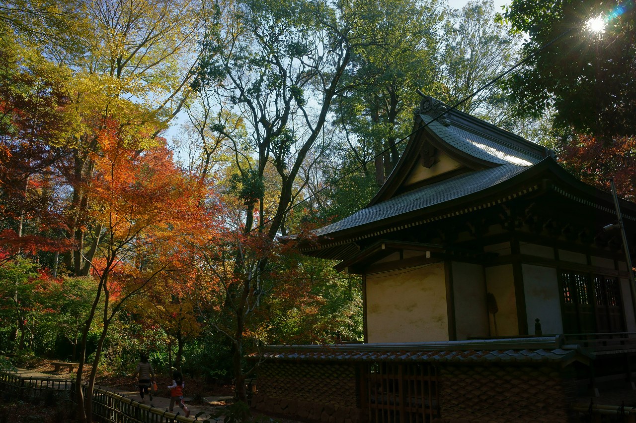 晩秋の深大寺へ_b0225108_1456160.jpg