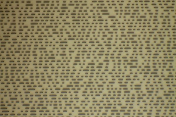 c0164709_1332364.jpg