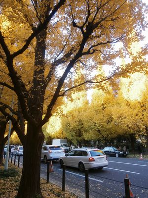 f0006509_2325109.jpg