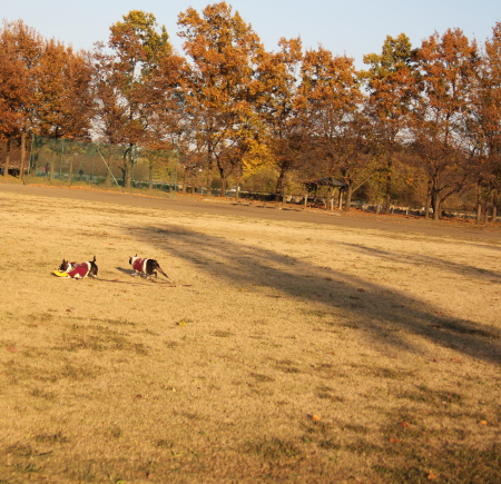 f0186509_20545365.jpg
