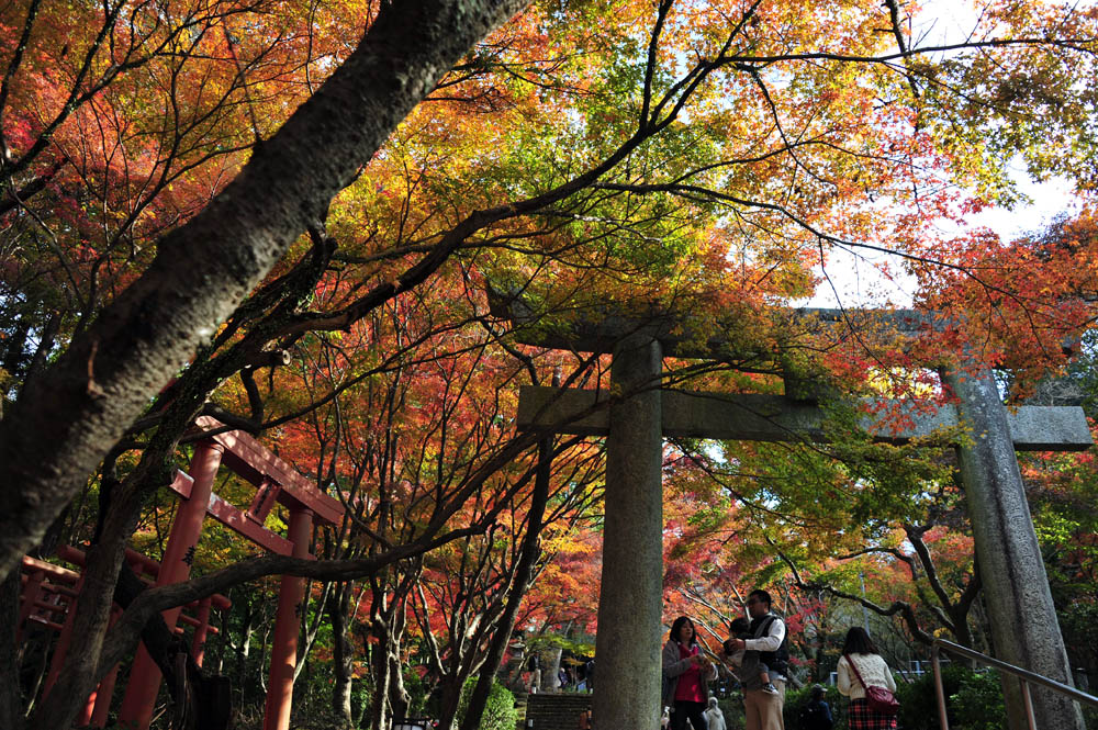 太宰府の紅葉 2013_a0042310_15463311.jpg