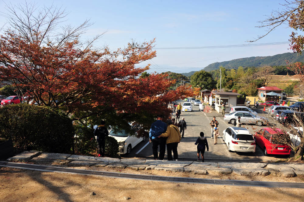 太宰府の紅葉 2013_a0042310_15544019.jpg