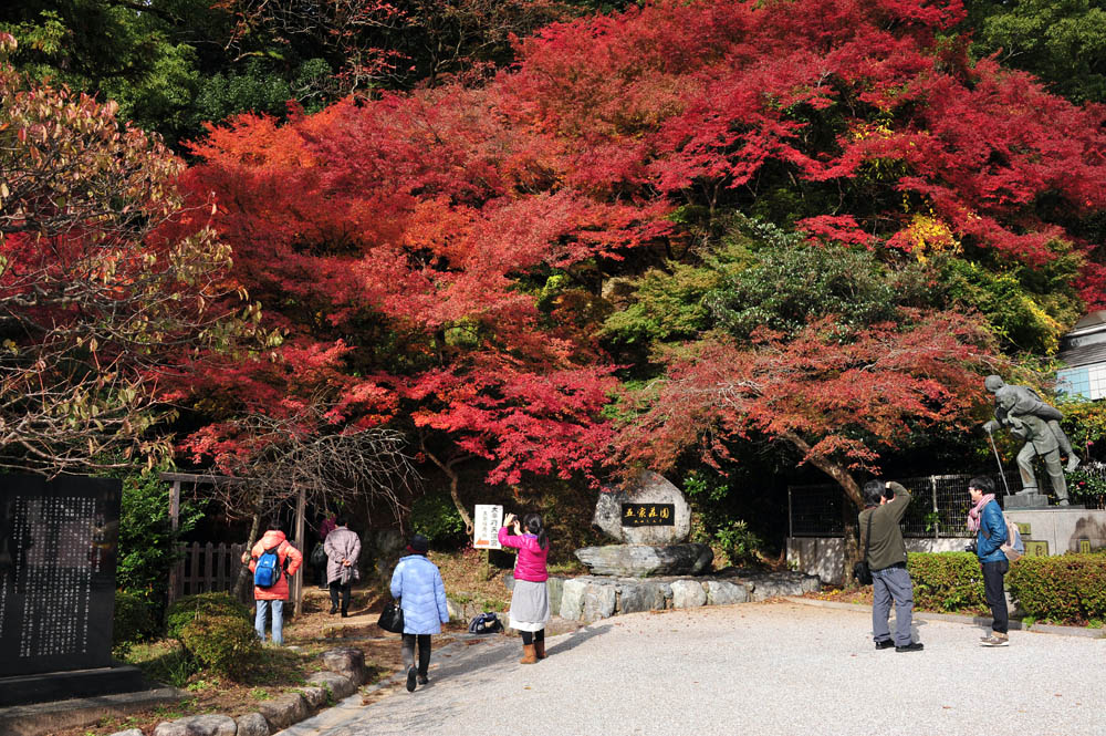 太宰府の紅葉 2013_a0042310_1631743.jpg