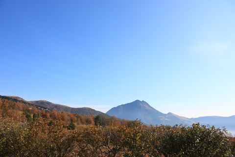 d0077811_2271930.jpg