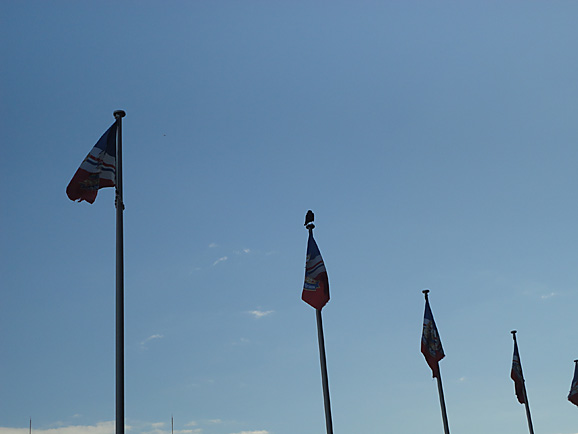 e0230011_16262890.jpg
