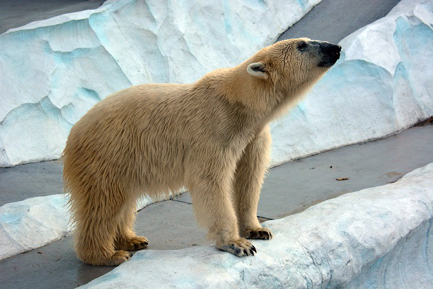 a0151913_329136.jpg