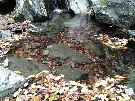 c0146714_23163587.jpg