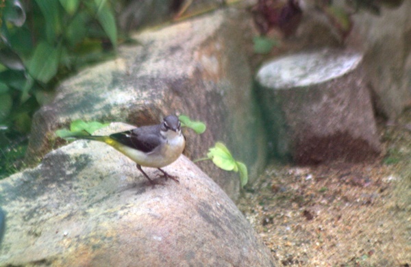 d0025414_0357.jpg