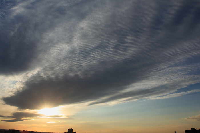 波状雲（巻積雲）_b0268615_8241978.jpg