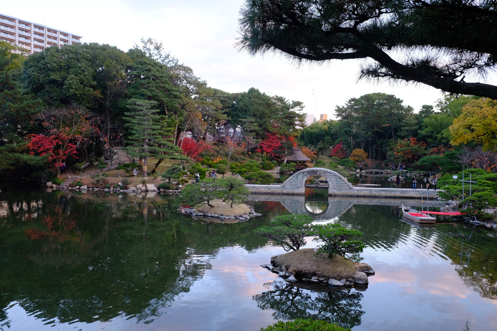 名勝縮景園もみじまつり～泉水の灯り～_a0287517_11533869.jpg