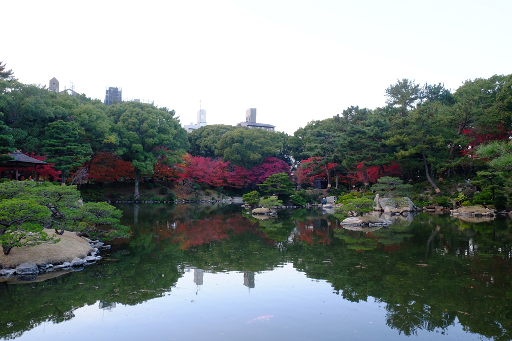 名勝縮景園もみじまつり～泉水の灯り～_a0287517_11535844.jpg