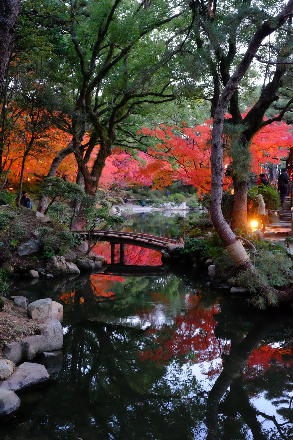 名勝縮景園もみじまつり～泉水の灯り～_a0287517_11541735.jpg