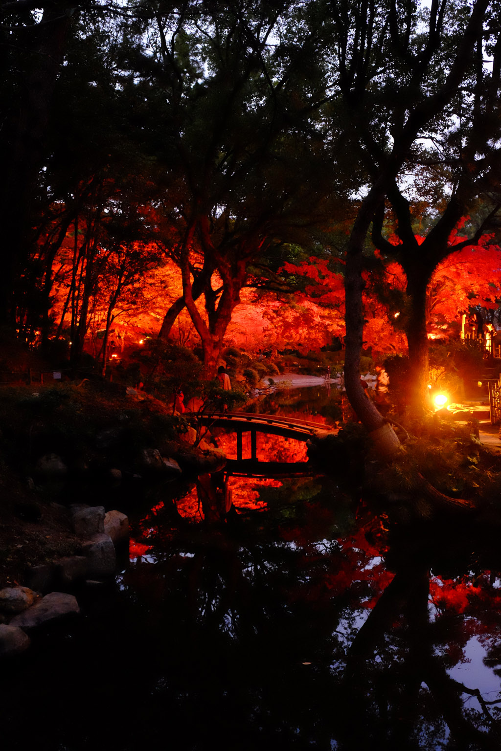 名勝縮景園もみじまつり～泉水の灯り～_a0287517_11562782.jpg