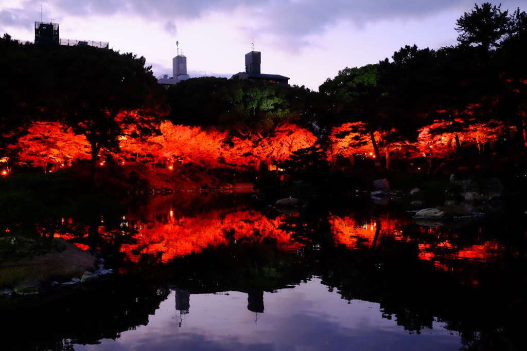 名勝縮景園もみじまつり～泉水の灯り～_a0287517_11563814.jpg