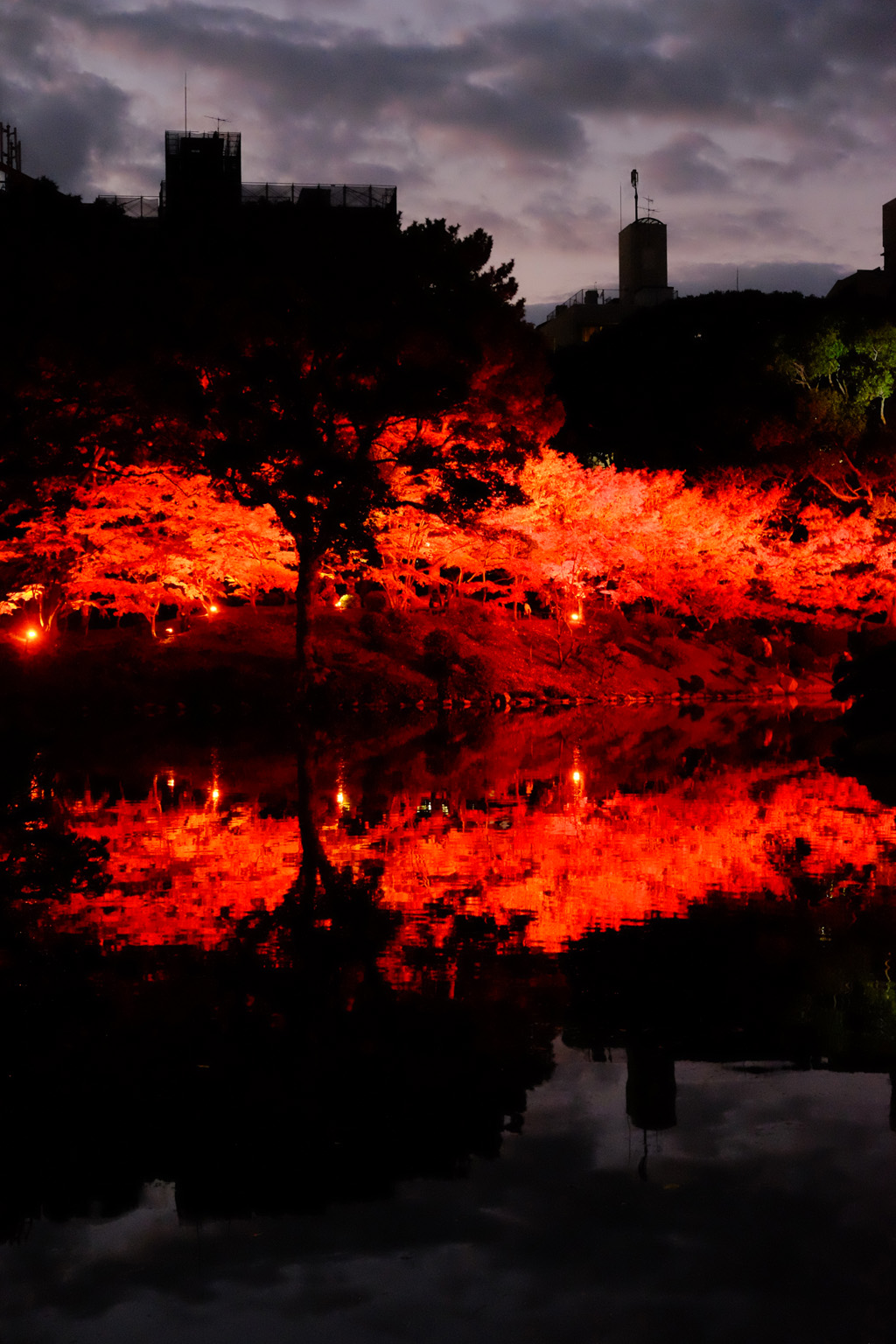 名勝縮景園もみじまつり～泉水の灯り～_a0287517_1157451.jpg