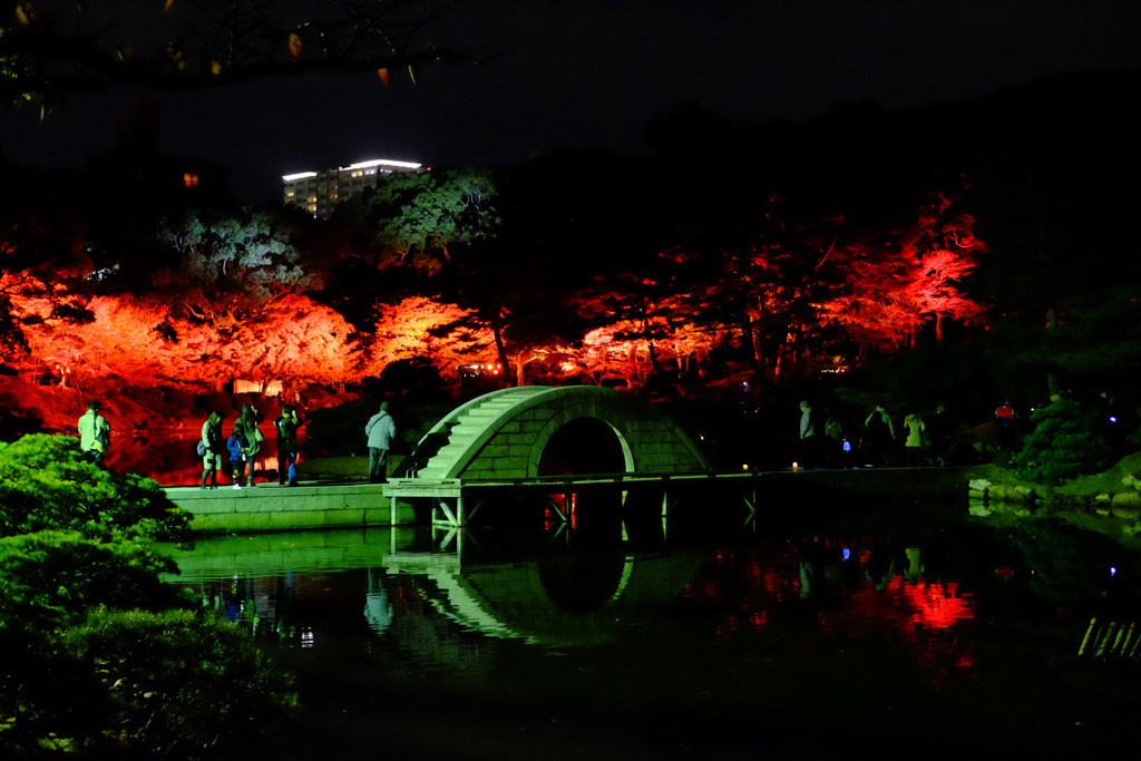 名勝縮景園もみじまつり～泉水の灯り～_a0287517_11581724.jpg