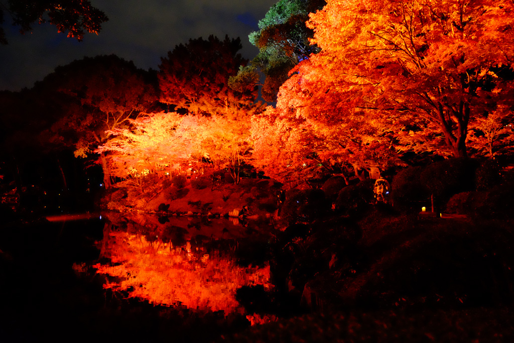 名勝縮景園もみじまつり～泉水の灯り～_a0287517_1159652.jpg