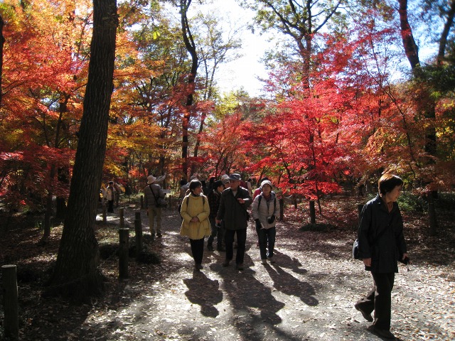e0117318_226176.jpg