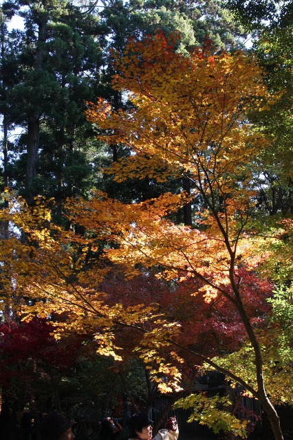 e0117318_23165534.jpg
