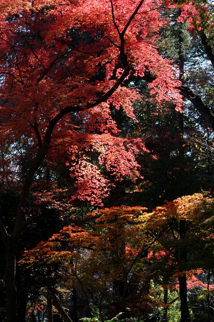 e0117318_2322020.jpg