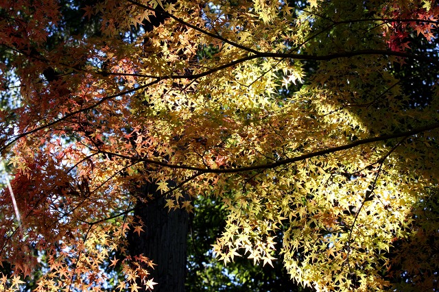 e0117318_23243199.jpg