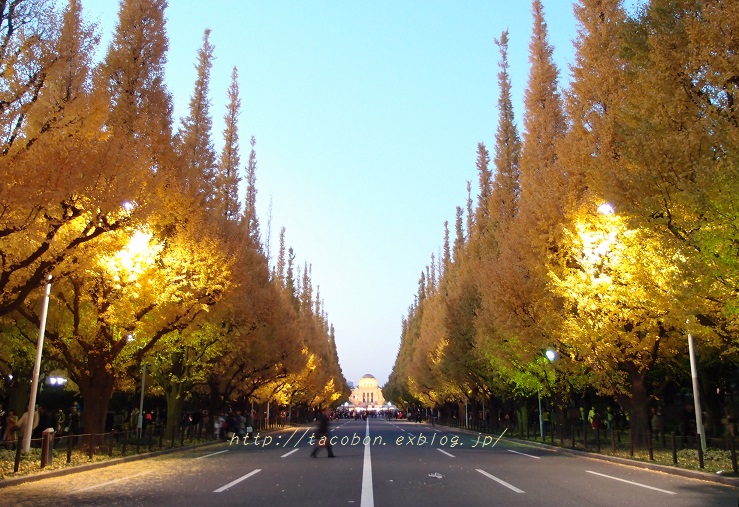 f0085219_14364368.jpg
