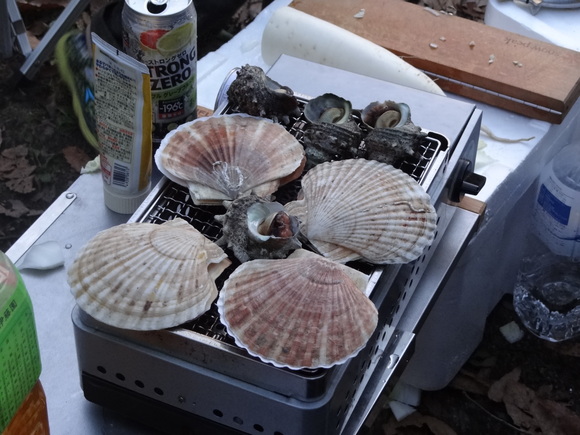 f0198620_20502949.jpg