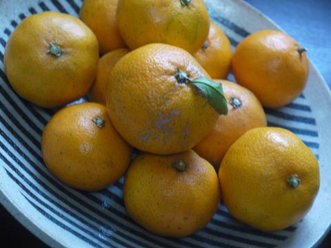 a0155921_2264134.jpg
