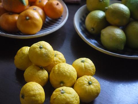 a0155921_227139.jpg
