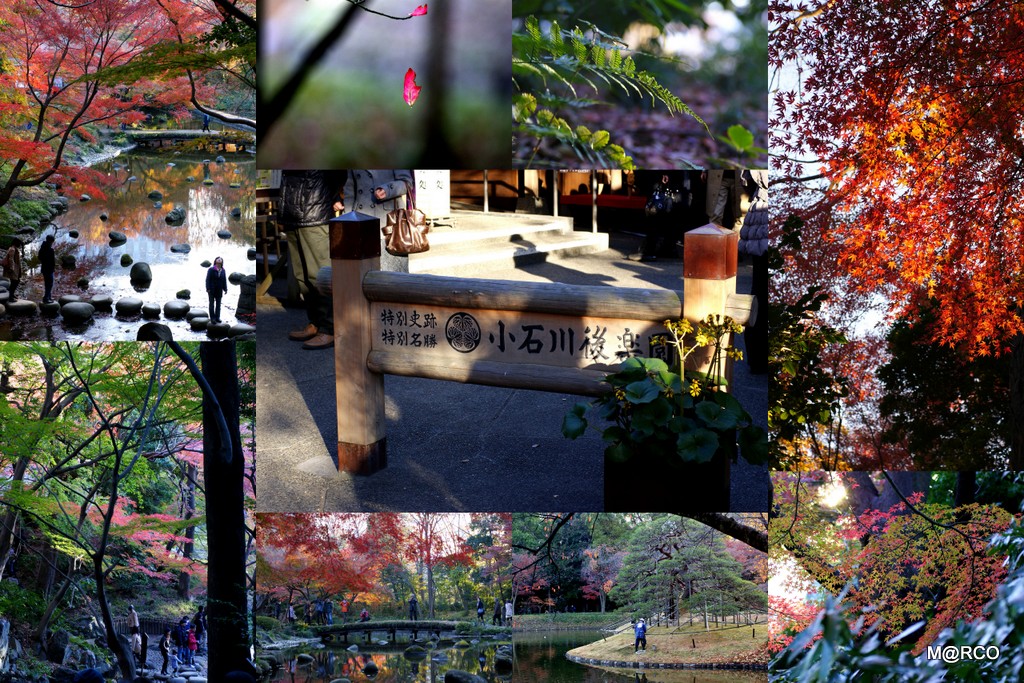 a0240721_23463014.jpg