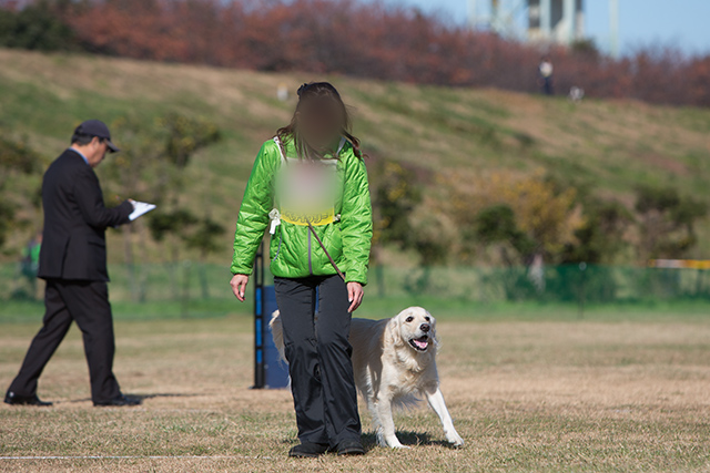 ３歳組の競技会_e0192921_21570864.jpg