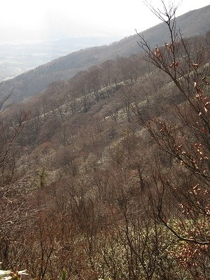 a0172222_09312743.jpg