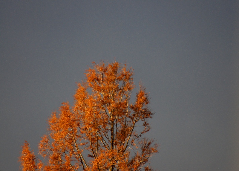 a0304423_1418439.jpg