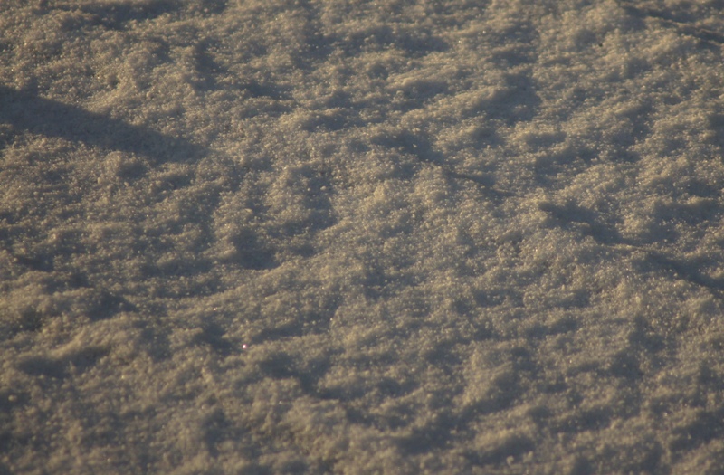 a0304423_14192382.jpg