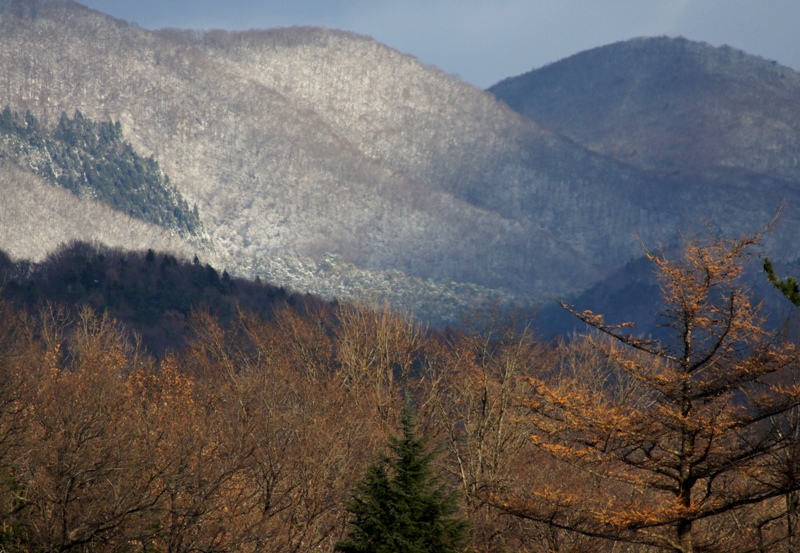 a0304423_14194387.jpg